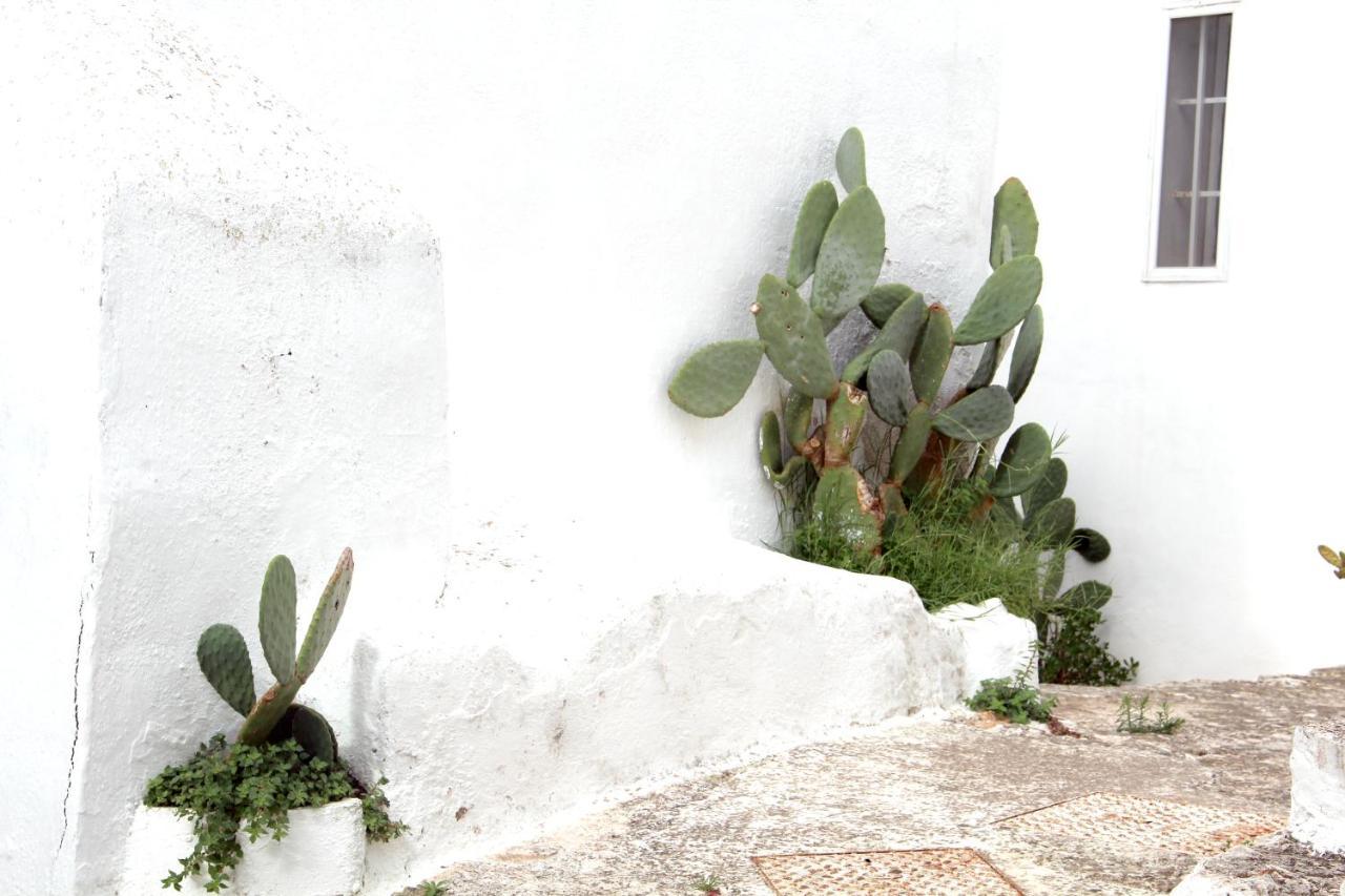 Monolocale Ilporticciolovacanze Villanova di Ostuni Ngoại thất bức ảnh